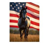 TZTTZT Diamond Art Kits for Adults - Horse Field Flag Sunset Freedom Diamond Painting Kits for Adults Beginner, Frameless Diamond Painting Craft for Home Wall Decor