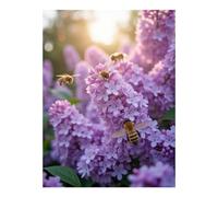 TZTTZT Diamond Art Kits for Adults - Lilac Blooms Bees Serenity Diamond Painting Kits for Adults Beginner, Frameless Diamond Painting Craft for Home Wall Decor