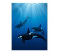 TZTTZT Diamond Art Kits for Adults - Orcas Swimming Beneath Sunlight Diamond Painting Kits for Adults Beginner, 12x16 in Frameless Diamond Painting Kit for Home Wall Decor