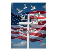 TZTTZT Diamond Art Kits for Adults - Seagulls Cross Sky Freedom Diamond Painting Kits for Adults Beginner, 12x16 in Frameless Diamond Painting Kit for Home Wall Decor