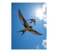 TZTTZT Diamond Art Kits for Adults - Sky Birds Sunlight Flight Clouds Diamond Painting Kits for Adults Beginner, Frameless Diamond Painting Craft for Home Wall Decor