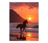 TZTTZT Diamond Art Kits for Adults - Sunset Beach Horse Freedom Diamond Painting Kits for Adults Beginner, 12x16 in Frameless Diamond Painting Kit for Home Wall Decor