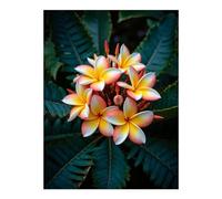 TZTTZT Diamond Art Kits for Adults - Tropical Flowers Lush Green Leaves Diamond Painting Kits for Adults Beginner, 12x16 in Frameless Diamond Painting Kit for Home Wall Decor