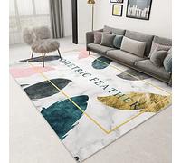 Tzvpsu Kids bedroom Pink Blue Yellow Geometric Feather Pattern hallway accessories for the home mens room decor 200x300cm