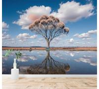 Tzxztt 3D Wallpaper A Solitary Tree Cloudy Sky Trees Reflections Calm Water | Premium Textured Silk Fabric Perfect for Decorating Living Rooms Bedrooms Studies Offices Dining Rooms TV Walls-250cm×170cm