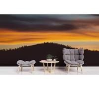 Tzxztt Abstract Mountains Forest Sunset Landscape Modern 3D Wallpaper Premium Textured Silk Neutral Tones Material Ideal for Living Room Bedroom-250cm×170cm