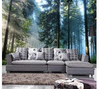 Tzxztt Large Three Dimensional Forest Path Sunlight Modern 3D Wallpaper Premium Textured Silk Neutral Tones Material Ideal for Living Room Bedroom-200cm×140cm