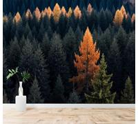 Tzxztt Orange Green Pine Trees Autumn Forest Natural Scenery Modern 3D Wallpaper Premium Textured Silk Neutral Tones Material Ideal for Living Room Bedroom-400cm×280cm
