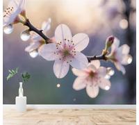 Tzxztt Simple Beautiful Cherry Blossom Branches Dewdrops Soft Morning Light Modern 3D Wallpaper Premium Textured Silk Neutral Tones Material Ideal for Living Room Bedroom-350cm×256cm