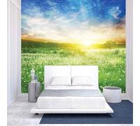 Tzxztt Sky Sunrise Green Forest Plants Modern 3D Wallpaper Premium Textured Silk Neutral Tones Material Ideal for Living Room Bedroom-300cm×210cm