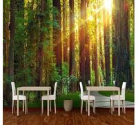 Tzxztt Sunlight Three Dimensional Minimalist Green Forest Modern 3D Wallpaper Premium Textured Silk Neutral Tones Material Ideal for Living Room Bedroom-430cm×300cm