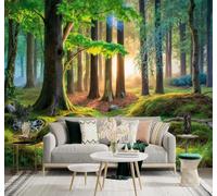 Tzxztt Sunrise Fresh Forest Mossy Ground Green Trees Modern 3D Wallpaper Premium Textured Silk Neutral Tones Material Ideal for Living Room Bedroom-250cm×170cm