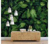 Tzxztt Three Dimensional Fresh Green Tropical Plants Leaves Modern 3D Wallpaper Premium Textured Silk Neutral Tones Material Ideal for Living Room Bedroom-250cm×170cm