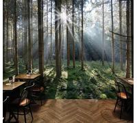 Tzxztt Three Dimensional Large Green Forest Sunlight Modern 3D Wallpaper Premium Textured Silk Neutral Tones Material Ideal for Living Room Bedroom-150cm×105cm