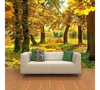 Tzxztt Warm and Beautiful Park Autumn Yellow Woods Modern 3D Wallpaper Premium Textured Silk Neutral Tones Material Ideal for Living Room Bedroom-200cm×140cm