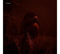 U R Not the One [VINYL]