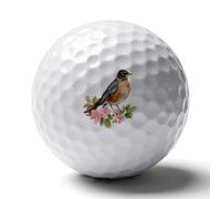 U.S.A. Robin Bird Golf Balls Rubber Practice for Training for Backyard Beginner