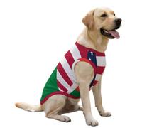 U.S. And Madagascar Flag Soft Dog Vest Shirt Ice Silk Tank Top