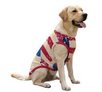 U.S. And South Korea Vintage Flag Soft Dog Vest Shirt Ice Silk Tank Top