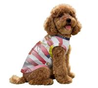 U.S. And Vatican Flag Soft Dog Vest Shirt Ice Silk Tank Top