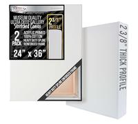 U.S. Art Supply Stretched Canvas for Painting 24" x 36" Museum 2-3/8" Extra Deep Profile, 17oz Acrylic Gesso Triple Primed, Gallery-Style (2 Pack), 100% Cotton, Art Canvases for Painting, Epoxy Resin