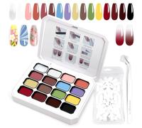 U-Shinein 16 Colors Gradient Painting Gel, With Sponges & Grabber, Set A5