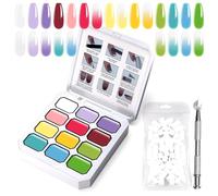 U-Shinein Gradient Painting Gel, 12 Colors Ombre Gel Nail Polish with 100Pcs Nail Sponges & 4 Claws Metal Grabber for French Manicure DIY Nail Art,Set I
