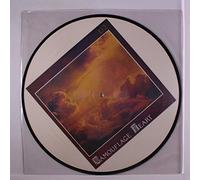 U2 - camouflage heart