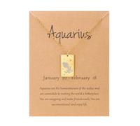 UBBVPKY Tarot Card Constellation Necklace 12 Zodiac Signs Pendant Necklace Horoscope Chain Pendant Constellations Astrology Birthday Gifts for Women Men Unisex Aquarius