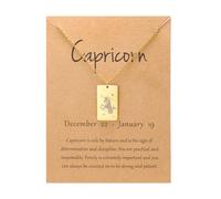 UBBVPKY Tarot Card Constellation Necklace 12 Zodiac Signs Pendant Necklace Horoscope Chain Pendant Constellations Astrology Birthday Gifts for Women Men Unisex Capricorn