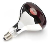 Uci Buffalo 250W Shatterproof Infrared Heat Lamp Es Red