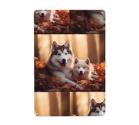 UDFKGLP Cute Husky Dogs Pattern Tin decorative painting 8x12in Made of tinplate, wear-resistant and durable