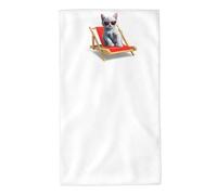 UDFKGLP Kitten basking in The Sun on a Chair Pattern Towel Towels 27.5x16in Skin-Friendly Absorbent Fluffy and Soft for Bathroom, Beach, Outdoors