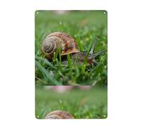 UDFKGLP Snail crawling on the grass Pattern Tin decorative painting 8x12in Made of tinplate, wear-resistant and durable