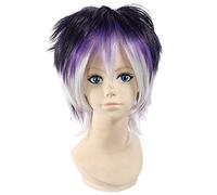 Uearlid Anime Wig Diabolik Lovers Cosplay Sakamaki Reiji Wig,Purple Gradient Short Wig,Costume Halloween Wig,For Halloween,Costume Party,Anime Show,Cosplay Event,Concerts Cosplay Anime Wig Coser