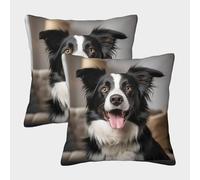 UENDOKRNN Border Collie Throw Pillow Cover Set of 2 Soft with Invisible Zipper Animal Cushion Covers,Pillow Covers Decorations of Life for Sofa, Outdoor Garden, Bed, Couch,Car 45x45cm