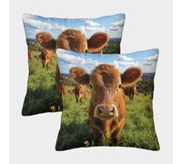 UENDOKRNN Cute Little Cow Homeware Cushions Set of 2 with Invisible Zipper Decorative Throw Pillow for Sofa Bed Livingroom Bedroom 40x40cm
