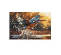 UENDOKRNN Kingfisher Wall Decor Poster Canvas Prints Picture Modern Wall Art Picture Wall Hanging for Bathroom Wall Decor 16x24inch(40x60cm)