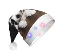 UENFFKDAP Husky Puppies Dogs Printed LED Christmas Hats Adult Unisex Velvet Comfortable Xmas Party Hats New Year Holiday Party Decor