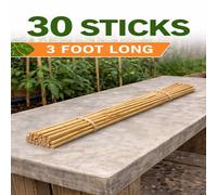 Uetian Eco Friendly Bamboo Garden Canes Strong Thin Plant Stakes 91.5 Cm (30 Bamboo Canes Sticks)