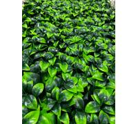 UETIAN Expanding Artificial Trellis Fake Laurel Leaf Hedge Garden Privacy Screening (1M X 2M)