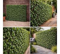Uetian Faux Laurel Hedge Willow Trellis Fence 2 X 1M Garden Wall Screening