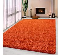 UETIAN Luxurious Shaggy Rugs Soft Extra Thick Area Rugs Heavy 5cm Dense Pile for Living Room Bedroom Hallway (Orange, 80 x 150cm)