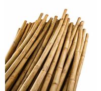 Uetian Natural Bamboo Cane Garden Support For Plants Climbers And Vegetables 91.5 Cm (30 Bamboo Canes Sticks)