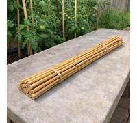 Uetian Natural Bamboo Stakes For Growing Plants Strong And Eco Friendly 91.5 Cm (30 Bamboo Canes Stick)