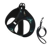 Ufo At Night Print Pet Leash Vest For Small Dogs Cats, Adjustable Pet Harness Vest, Outdoor Walking Hiking