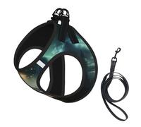 UFO at Night Print Small Dog Harness with Leash Set, No Escape Easy Walk Puppy Harnesses for Training Walking