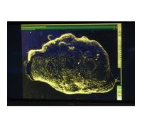 UFO Hunters: Giant Ufos [DVD] [Region 1] [US Import] [NTSC]