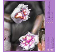 Ufo95 - Use Your Difference To Make The Difference [VINYL]