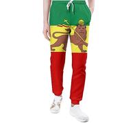 Ufuson Jamaica Rasta Lion Flag Sweatpants for Men Yoga Athletic Lounge Jersey Trousers with Pockets